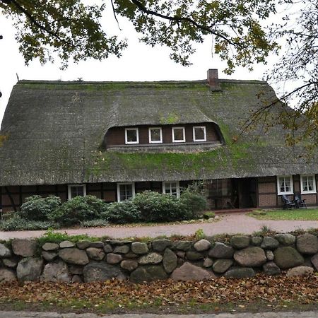 Reit- Und Bauernhof Klaucke Διαμέρισμα Trebel Εξωτερικό φωτογραφία